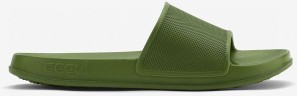COQUI 7082 Kale green