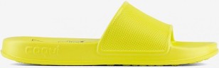 COQUI 7081 CITRUS BTBR