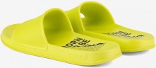 COQUI 7081 CITRUS BTBR