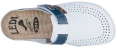 Сабо анатомічні (професійні) LEDI Anatomic 710